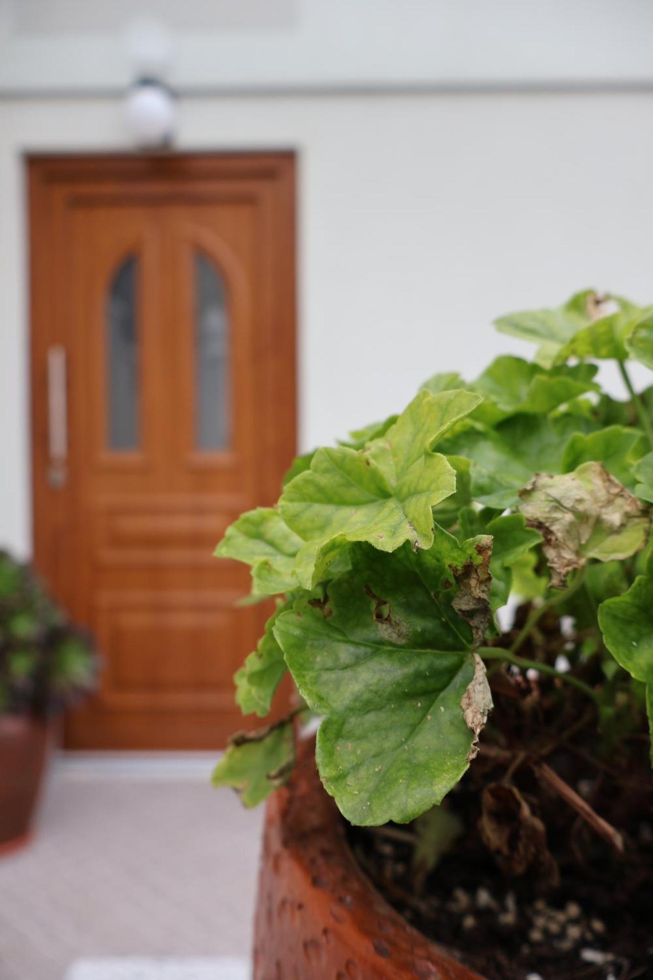 Casa Das Chaes คานิซาดา ภายนอก รูปภาพ